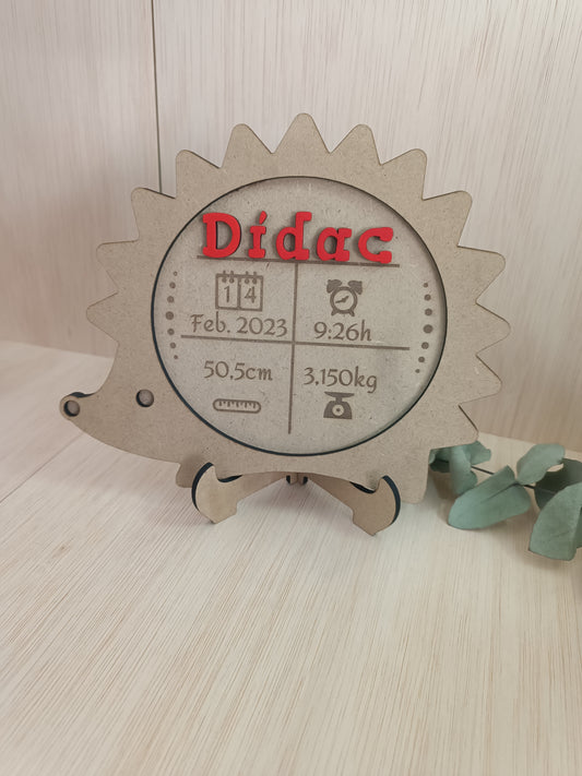 Natalicio Erizo 🦔